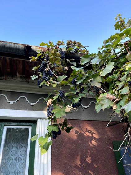 Teren 2030 mp | Sat Gheorghieni | Asfaltat | Pers. Fizica - 1