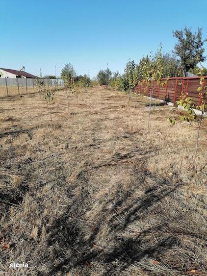 Casa nou comuna buzoesti teren 1765 mp,livada pomi fructiferi +anexa - 1