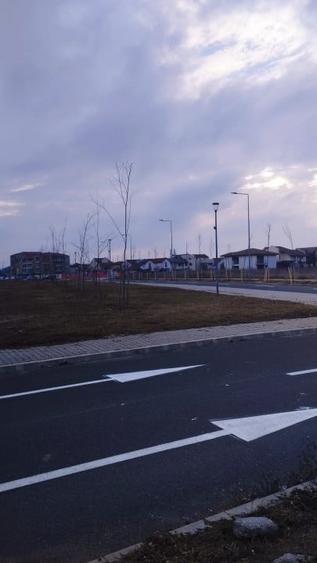 VAND TEREN INTRAVILAN 16.474 MP IN ZONA BANEASA PENTRU AFACERI/INVESTITII - 3