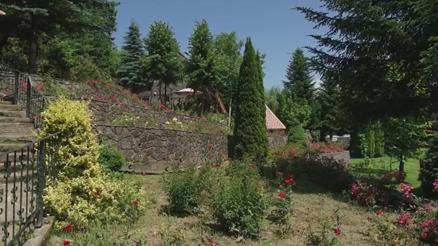 Vila de vanzare in Campina - Lunca Mare, teren 16500 MP - 1