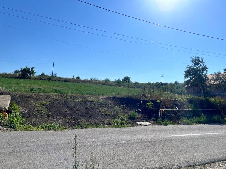 Teren intravilan  1303 mp - 4