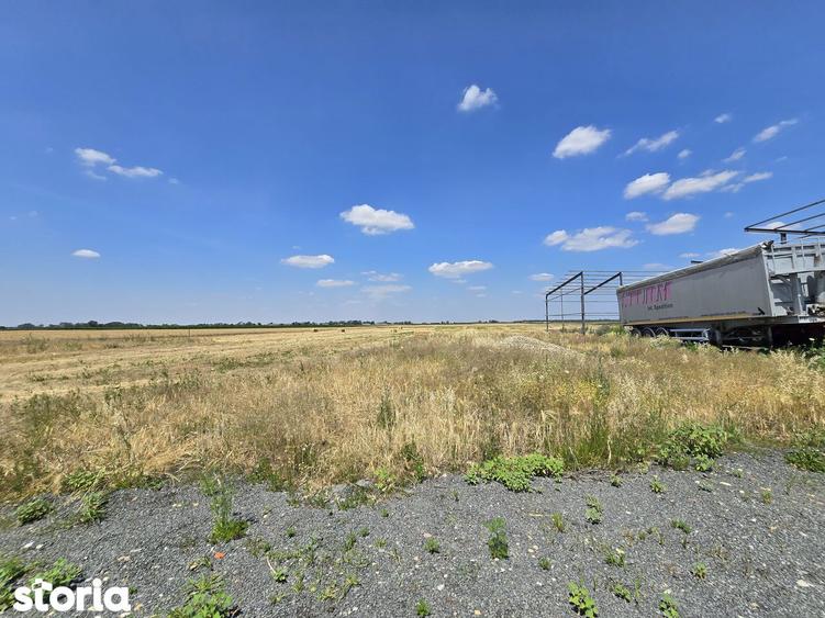 Teren intravilan 564 mp Zimandcuz - 3