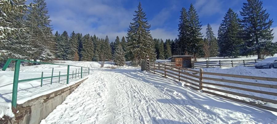 Vanzare teren 900 mp/25 ml toate utilitatile, Predeal laga Cabana Trei Brazi - 9