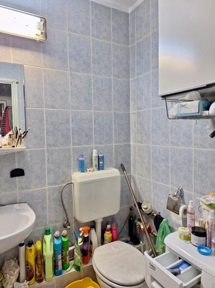 Ștefan cel Mare, Lizeanu, - 4