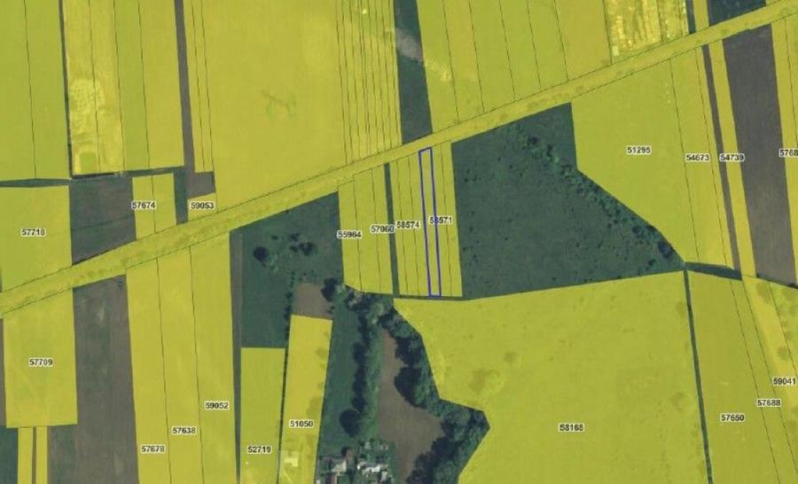 Targu Neamt, Punct Manesti, cota parte 1/2, ID: R2759107 - 2