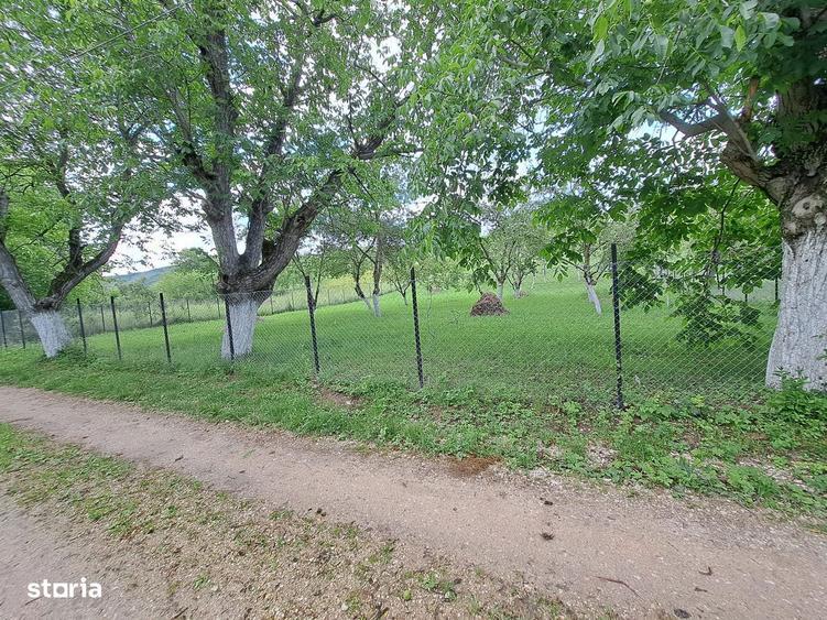 Teren (2400mp)de vanzare in Galda de Jos- Benic - 9