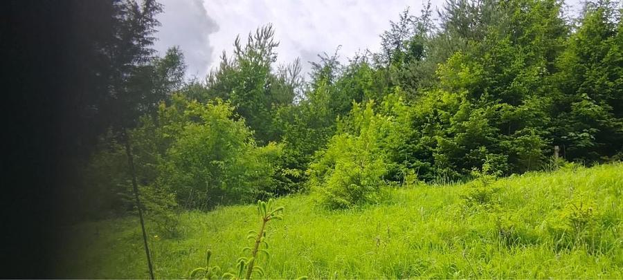 Teren munte situat la poalele muntelui Ceahlau - 2