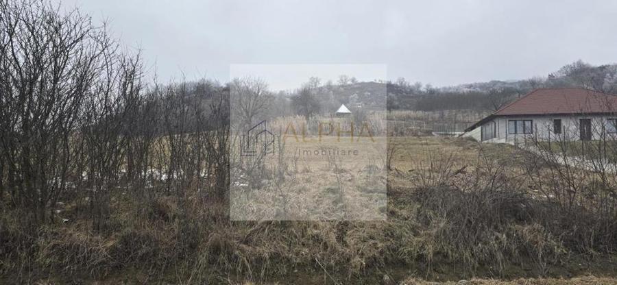 Teren Intravilan la Intrare in Ghinda - 3 parcele de cate 15 arii - 2