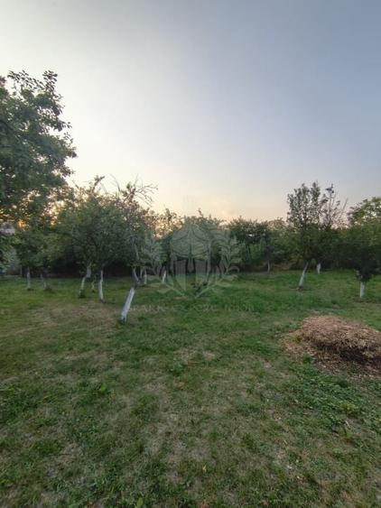 TEREN INTRAVILAN\\CORNU DE JOS - 1