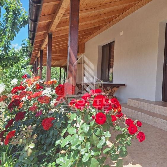 Casa individuala in Ianova,Comuna Remetea Mare - 4