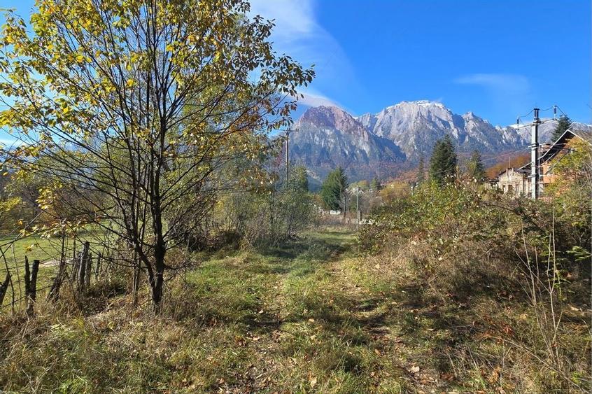 Teren intravilan cu vedere spectaculoasa spre Crucea Caraiman - 3