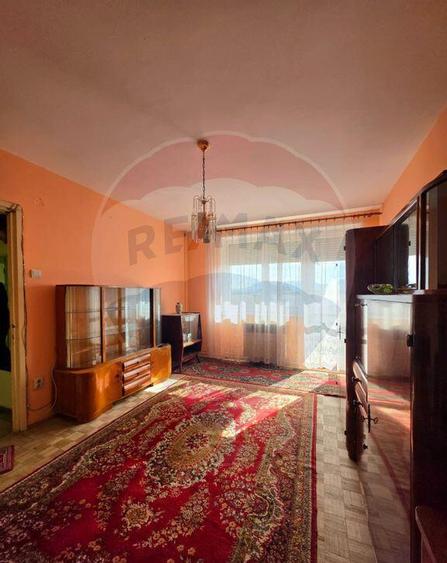 Apartament doua camere Gura Campului Medias - 4