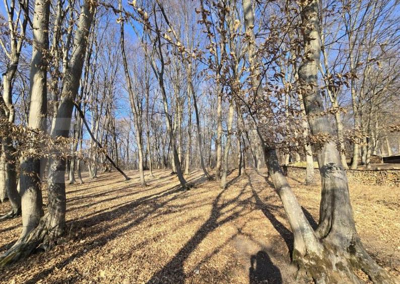 Teren cu sufrafata de 1100 mp in Padurea Faget - 6