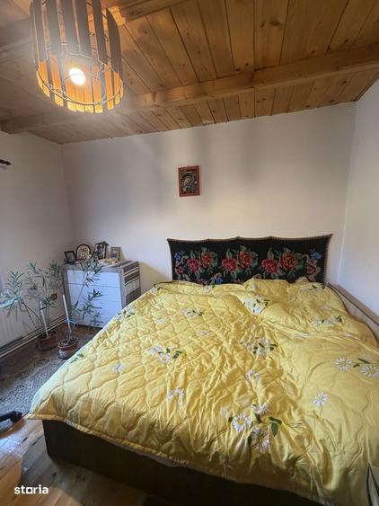 Casa de vacanta zona deal, 27km de Buzau - 6