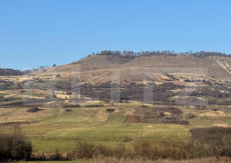 5 terenuri extravilane agricole cu suprafata totala de 13.37 - 10