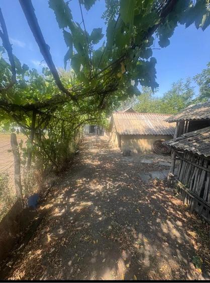 Casa de vanzare in sat.Floroaica 2 800 m+teren agricol intravilan 2 096 m - 4