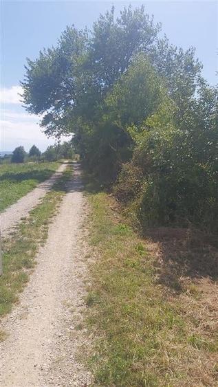 RECO, teren intravilan, Zona Sinteu, Bihor - 1