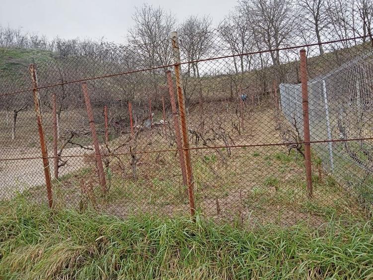 Teren intravilan 500 mp Oradea cu toate utilitatile 32500 euro - 1