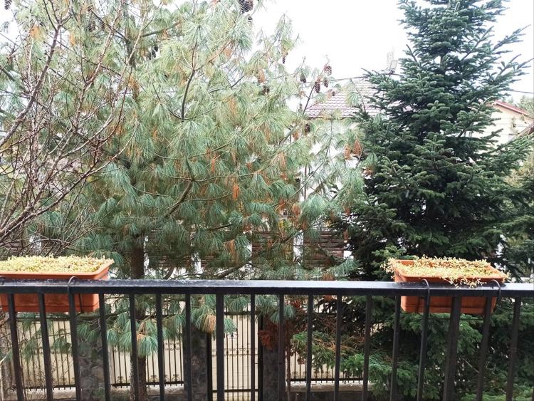 De vânzare casa in zona liniștită  - 10