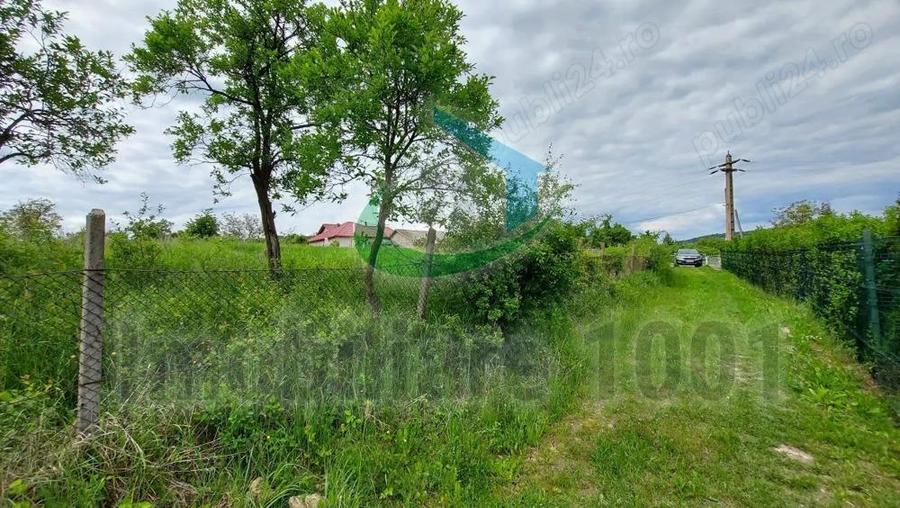 Teren intravilan 2732 mp, Strada 1 Mai, Somcuta Mare, zona de case - 2