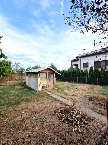 Alexandriei-Ion Conea-330 mp-59000 Euro - 6