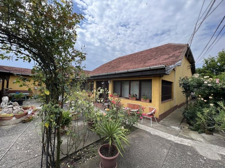 2 case, hala depozitare, teren 3785 mp - 2 F.S. - 22 m, pe malul Begai - 1