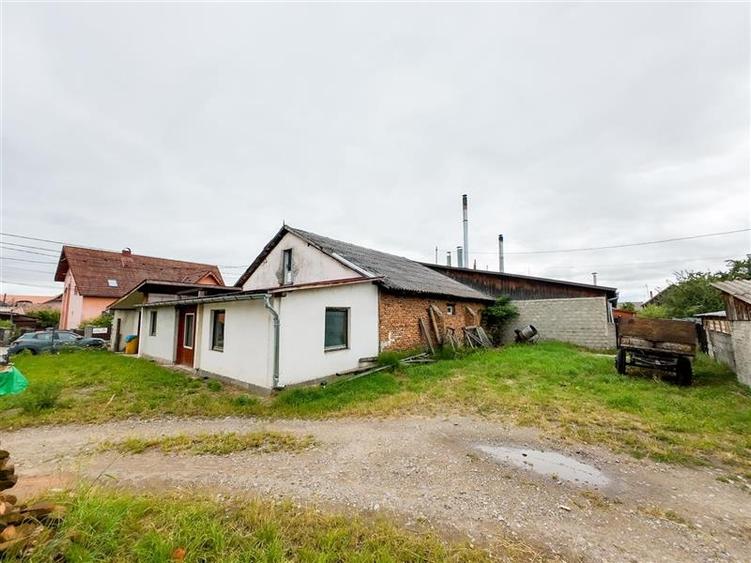 FILM! Oportunitate industriala, hala in localitatea Ghelinta, Covasna - 14