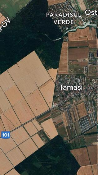 Tamasi  Corbeanca Vanzare Teren  Intravilan  17 000mp - 2