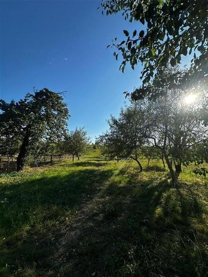 Reco Casa cu teren in Budureasa, langa Stana de Vale - 11