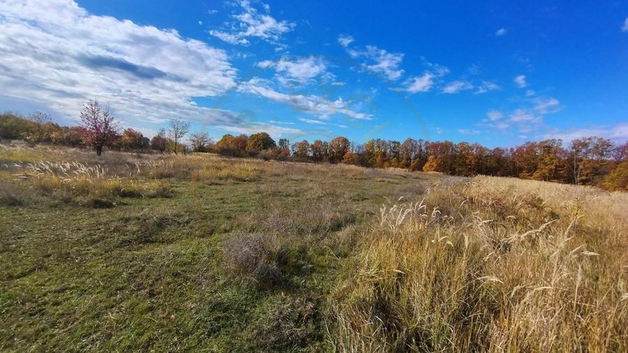 Terenuri intrevilane Comuna Mosoaia - 8