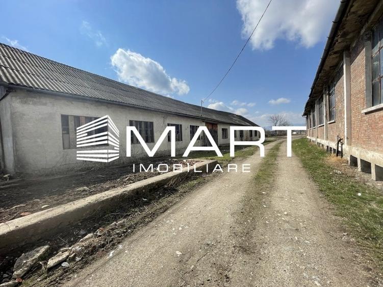 Teren intravilan 16000 mp + hale Calea Surii Mici - 1