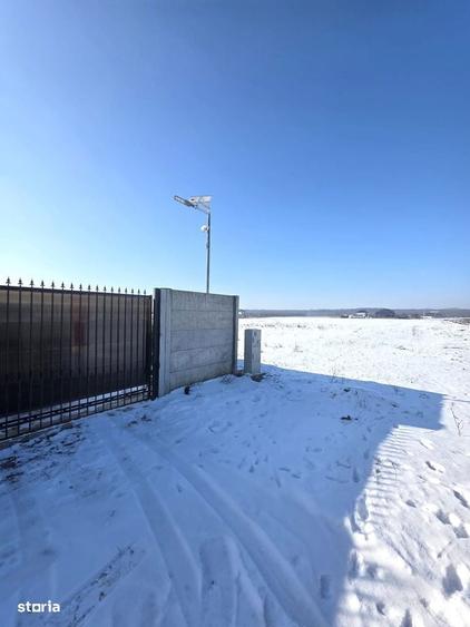 TEREN 400 mp-DRAGOMIRESTI DEAL -strada Teilor - 3