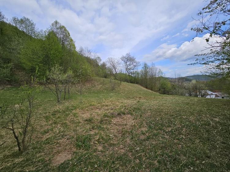 Teren intravilan 1454 mp la marginea padurii zona locuita de case! - 7