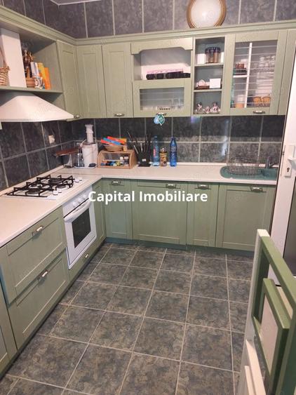 Vila superba 7 camere, Provita de Jos, 22.000 mp teren - 14