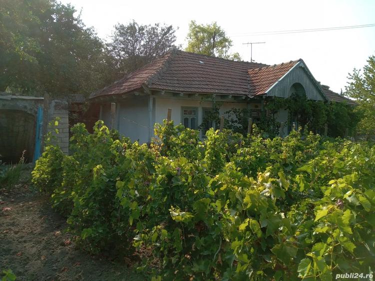 Vand casa Rebricea Jud Vaslui - 5