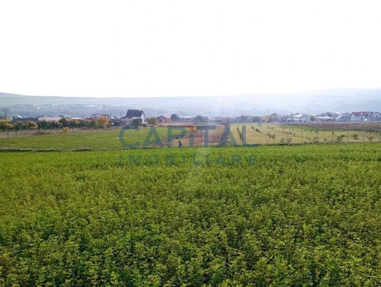 Teren intravilan 5500 mp Comuna Sandulesti - 4