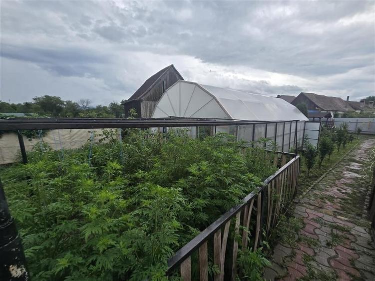 Casa De Lux  in Sinca Veche - 29