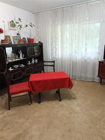 Apartament 1 camera Frumoasa - 3