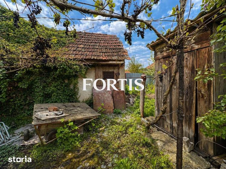 Casa de vanzare in Fagaras, zona 13 Decembrie 0% COMISION - 11