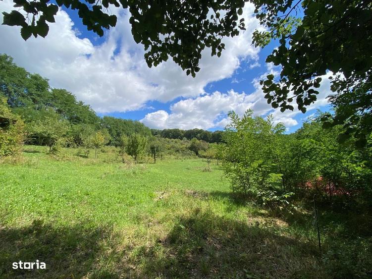 Locuin?a de vis cu poten?ial agroturistic, sat Carbunari - 9