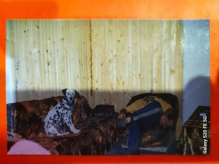 Lepsa Vrancea ,zona retrasa linistita si sigura,cabana si teren de vanzare - 3