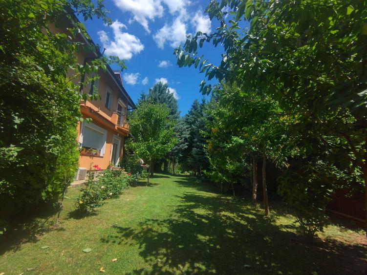 Vila de vanzare in Snagov in vecinatatea padurii - 2