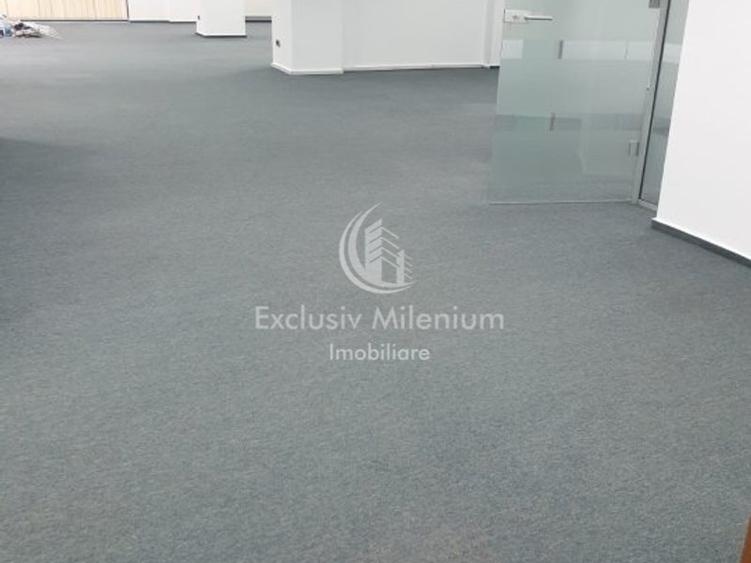 Parter Spatiu Birouri Brilliant Condominum -Popa Tatu Piata Victoriei - 4