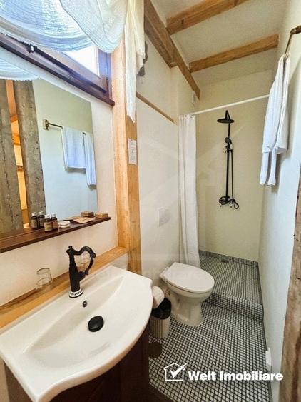 Oportunitate de business, zona ultracentrala, 8 camere - 21