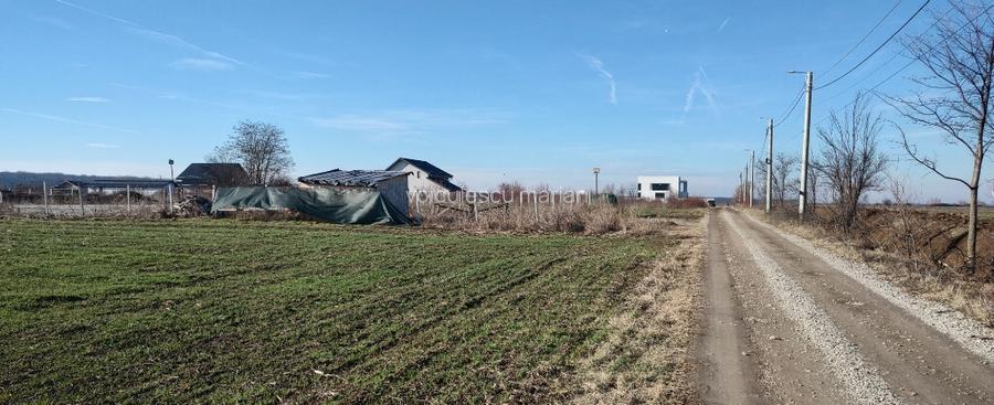 Direct proprietar teren intravilan 700mp Otopeni Odai Direct proprietar teren intravilan 700mp Otopeni Odai