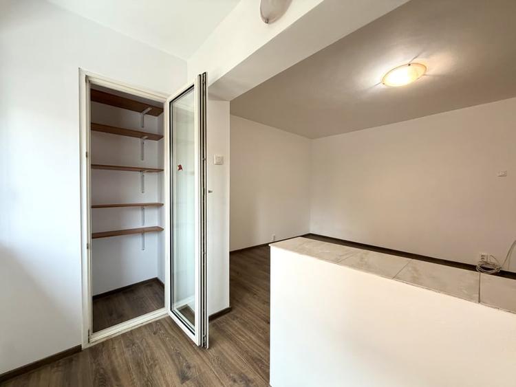 Apartament 1 camera, 32 mp utili, parter, Zona Aradului - 3