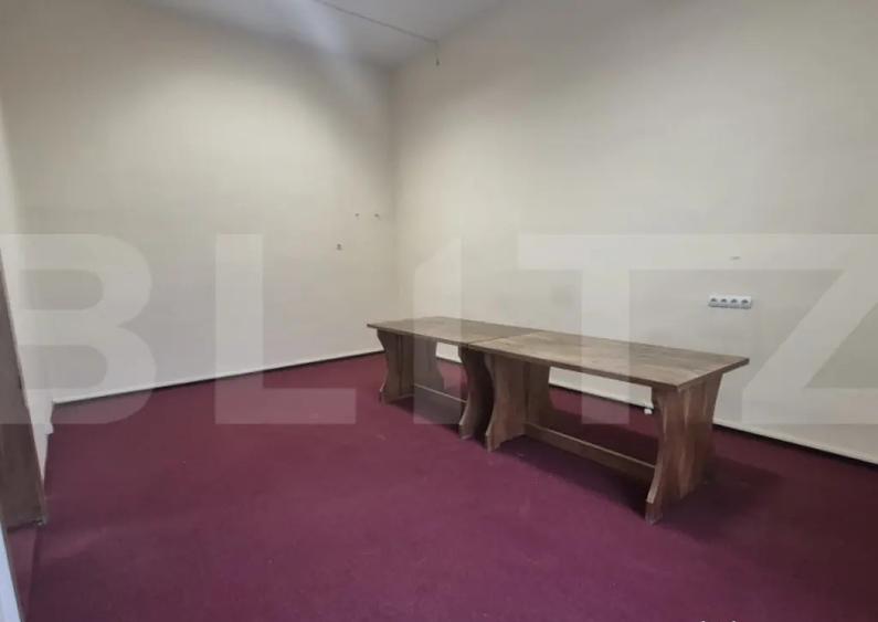 Birou de inchriat, 255 mp, zona Ultracentrala - 14