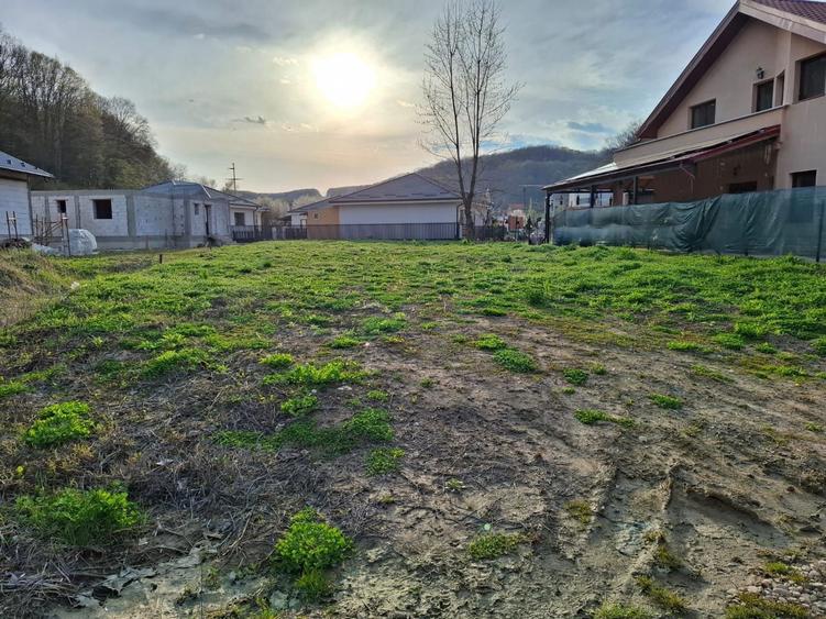Teren intravilan de vanzare - 3