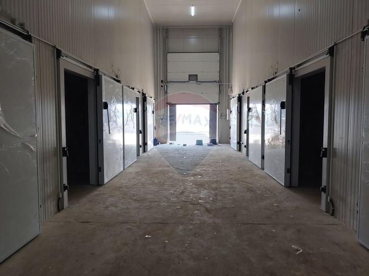 Depozit frigorific de 216 mp cu 4 celule, Șcheia, Suceava - 17