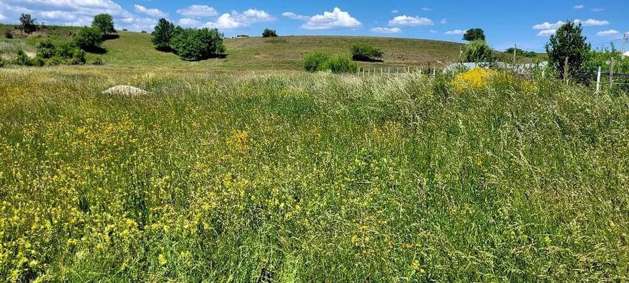 Teren Intravilan Podul Olt - 4